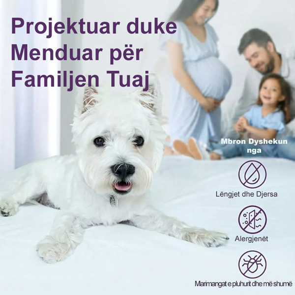 CLOUDREAM-3831127613059-AL-5__301225